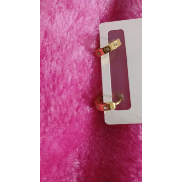 Küpe Cartıer T Zirkon Taş Küpe - 2