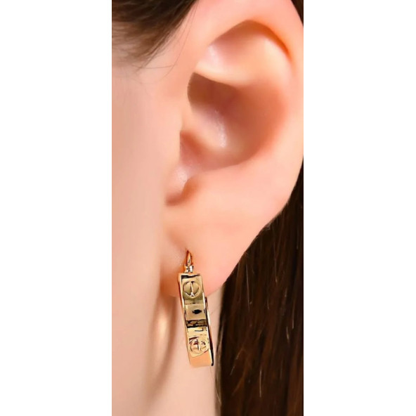 Küpe Cartıer T Zirkon Taş Küpe - 3