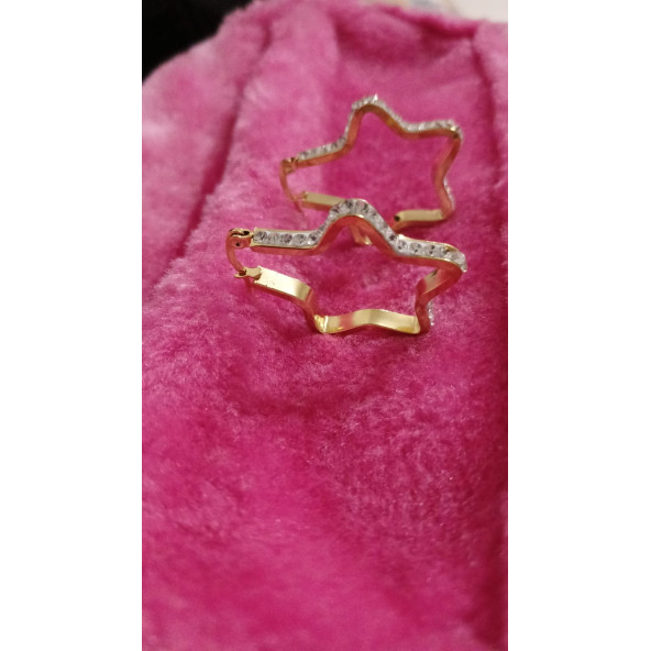 Şans Getiren Yıldız Model Zirkon Taş Çelik Küpe - 2