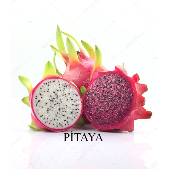 Pitaya (dragon Fruıt, Ejder Meyvesi) Fidanı (2 Adet) 40 Cm - 2