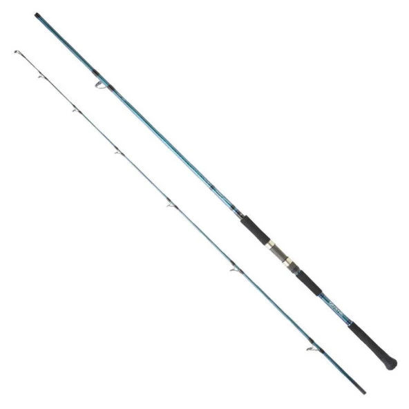 Daiwa Grandwave 2.90M 28-84gr 2P Shore Jig Olta Kamışı