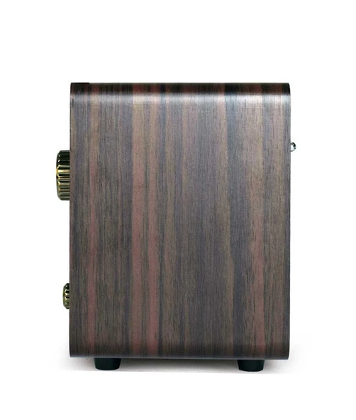 Looptone DSY-R08 Retro Radyo Espresso - 4