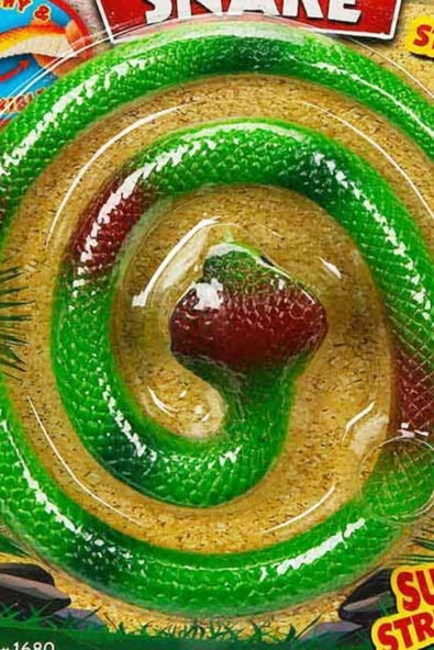 Gerçekçi Görünümüyle Dikkat Çeken Esnek Yılan: Planet Earth Esnek Yılan - 2