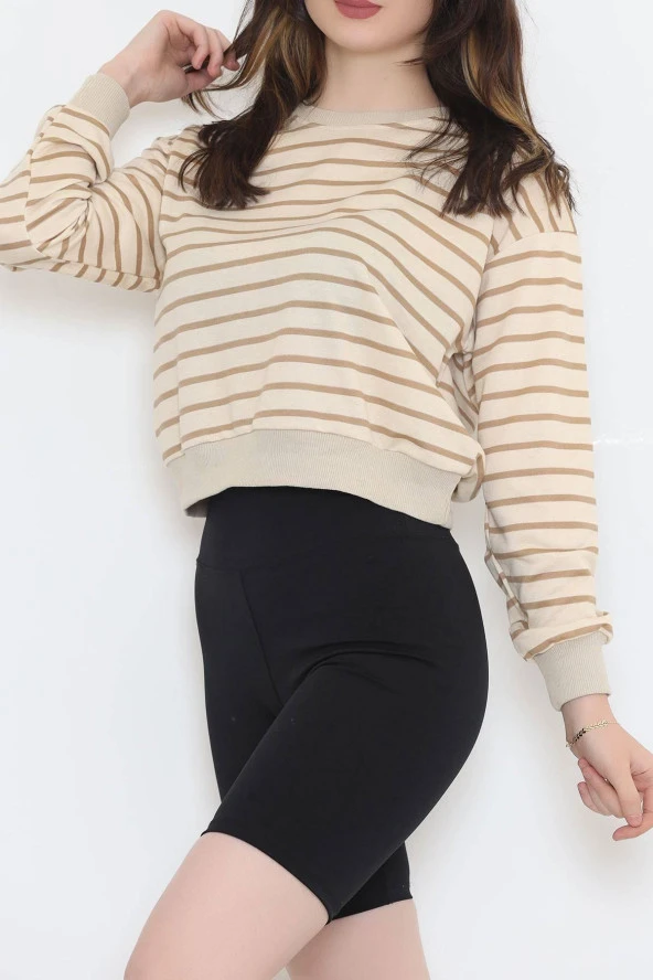 Çizgili Crop Sweat Bejkahve - 11815.1567. - 2