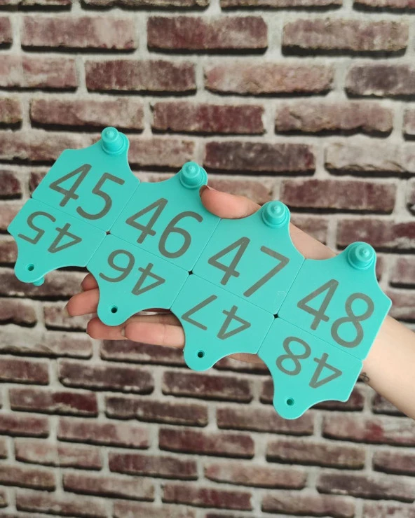 150 Adet Büyükbaş Kulak Küpesi Standart Boy - 4