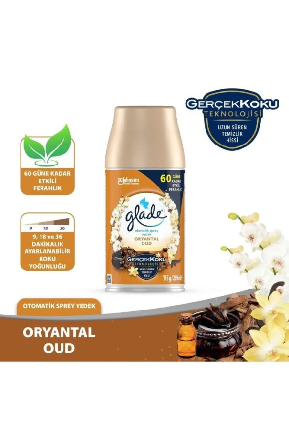 Glade Otomatik Sprey Yedek Oryantal Oud 269ml (1 YEDEK)