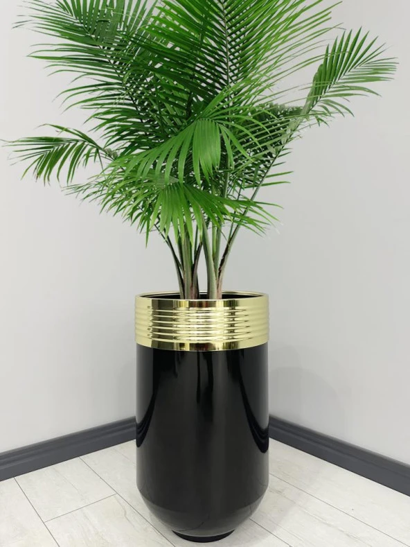 ELEGANT Dekoratif Gold Darbuka Parlak Siyah Saksı 60cm ürün görseli 1