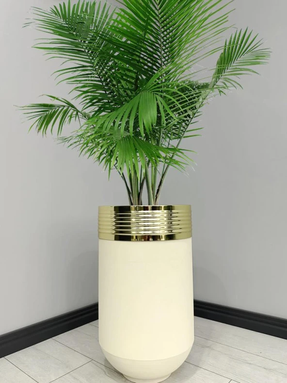ELEGANT Dekoratif Gold Darbuka Krem Saksı 70cm