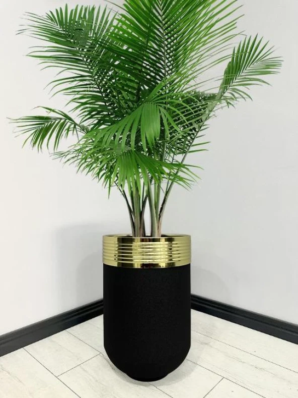 ELEGANT Dekoratif Gold Darbuka Siyah Saksı 60cm ürün görseli 1