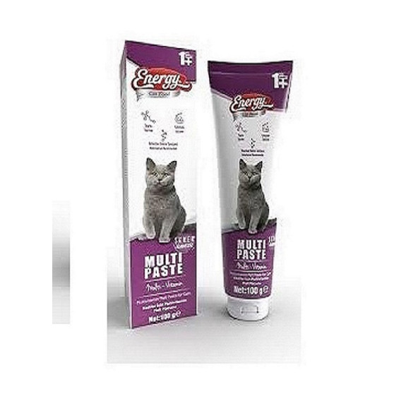 ENERGY YETİŞKİN KEDİ  MULTI PASTE 100GR 1+ YAŞ - 2