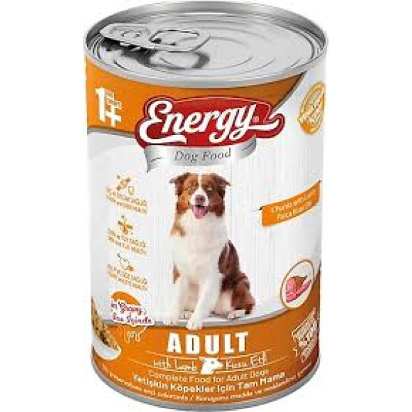 ENERGY YETİŞKİN KÖPEK KUZU ETLİ KONSERVE  YAŞ MAMA 400GR