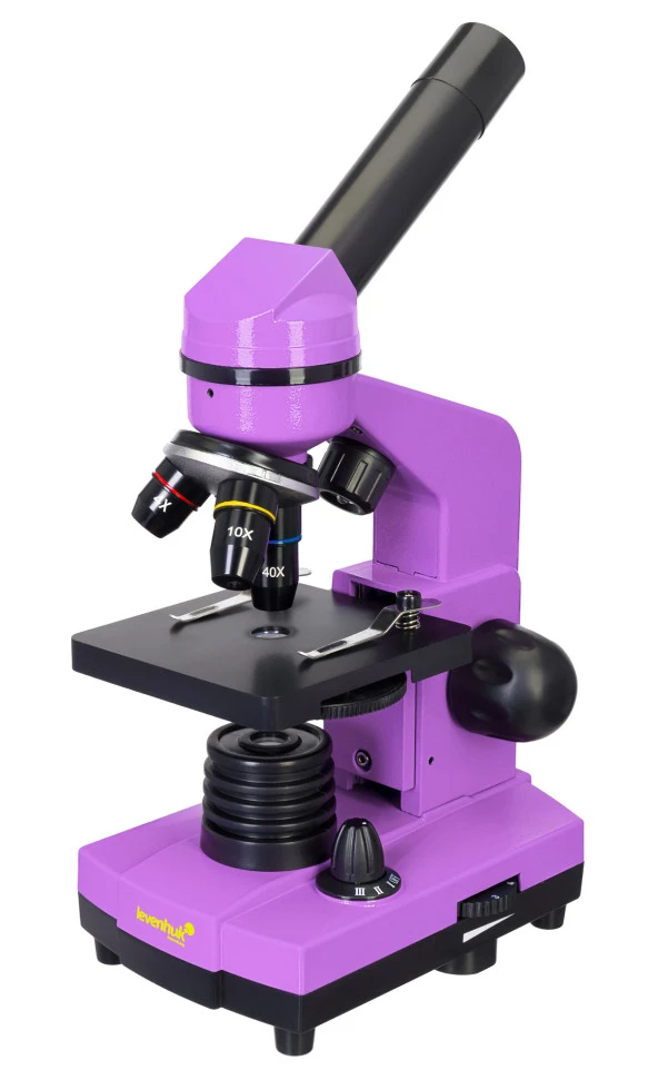 Raınbow 2L Amethyst/Ametist Mikroskop