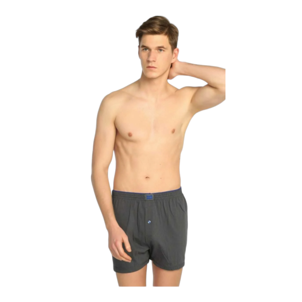 tutku 3 lü erkek elestan boxser XL beden siyah - 2