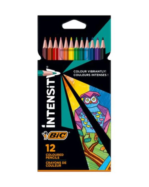 Bic Intensity Kuru Boya Kalemi 12 li