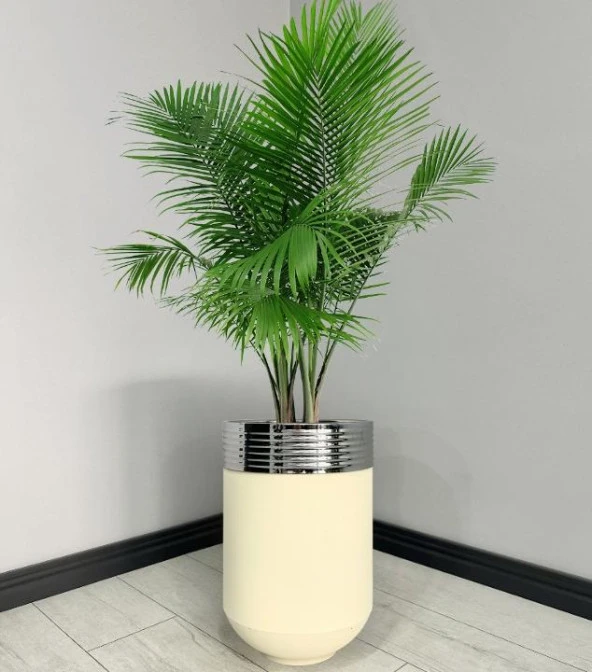 ELEGANT Dekoratif Krom Darbuka Krem Saksı 60cm ürün görseli 1