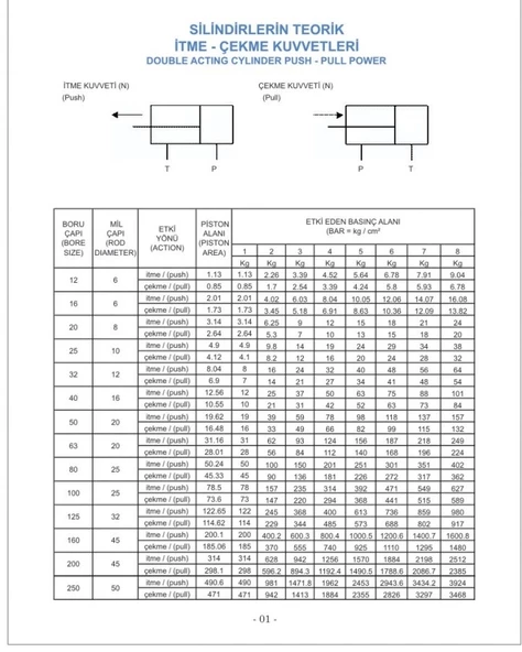 Pnömatik Çift Etkili Manyetik Kalem Silindir Piston Q16 - 150mm - Resim 4