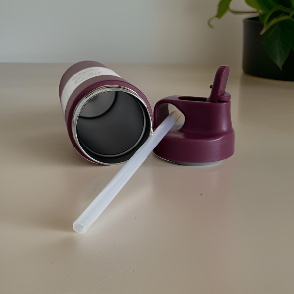 Çift Yalıtımlı Pipetli 550ML Stainless Steel Vakumlu Termos - 4