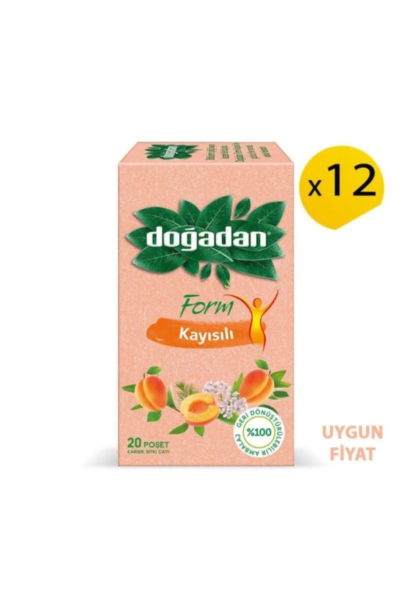 Doğadan Form Kayısılı Karışık Bitki Çayı 20'li X 12 Paket