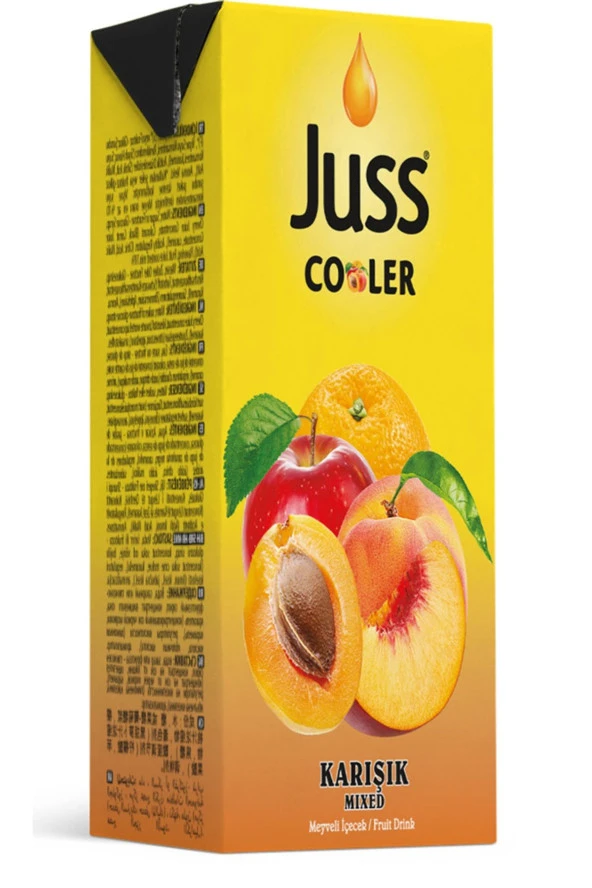 JUSS Cooler Karışık Meyve Suyu 200 ml X 27 Adet