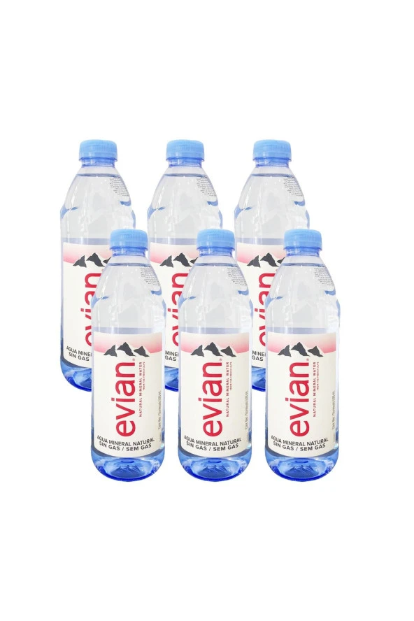 Evian Su Natural Mineral Water 500 ML X6
