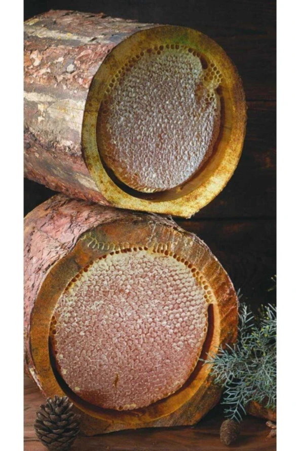 Erzincan Tarım  Kütük Balı Erzincan Yöresi 1 Kg