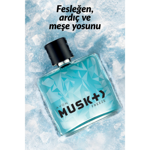 Avon Musk Freeze Erkek Parfüm Edt 75 Ml.