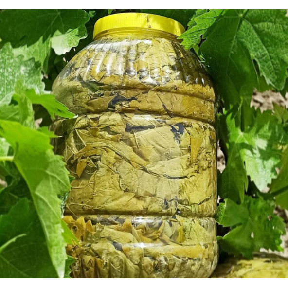 Asma yaprağı (3 kg) - 2
