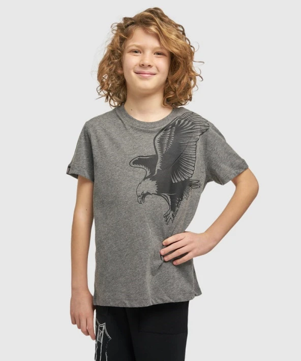 Beşiktaş Orijinal Kartal Baskılı Gri Çocuk T-shirt Hediyelik Ahşap Kutulu - 4
