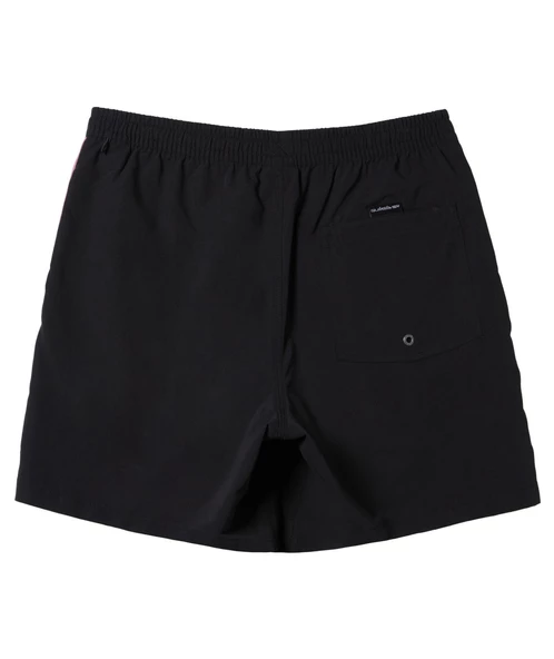 Quıksılver EVERYDAY VERT VOLLEY 16 Erkek Şort AQYJV03139-QK.KVJ0