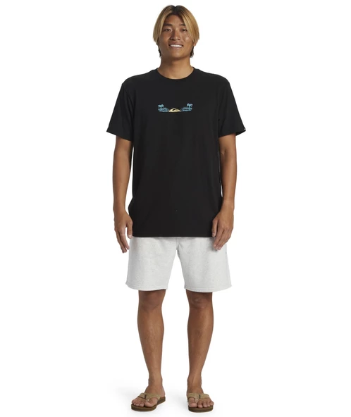 Quıksılver SALT WATER FLEECE SHORT Erkek Şort AQYFB03035-QK.SZTH - 4