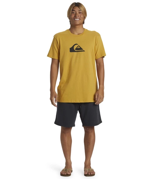 Quıksılver SALT WATER FLEECE SHORT Erkek Şort AQYFB03035-QK.KVJ0 - 4