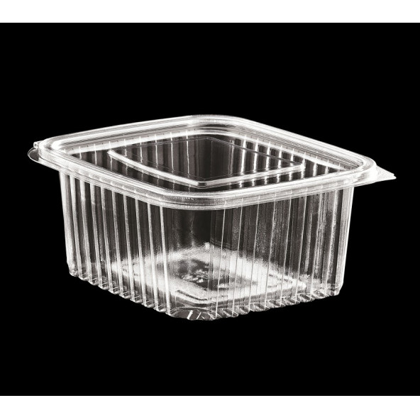 Plastik Saklama Kabı 500 gr 100'lü Plastik Kapaklı Kase Sızdırmaz Kap Şeffaf Kullan At Kase - 2