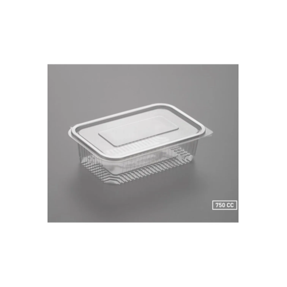 Plastik Saklama Kabı 750 gr 100'lü Plastik Kapaklı Kase Sızdırmaz Kap Şeffaf Kullan At Kase - 2