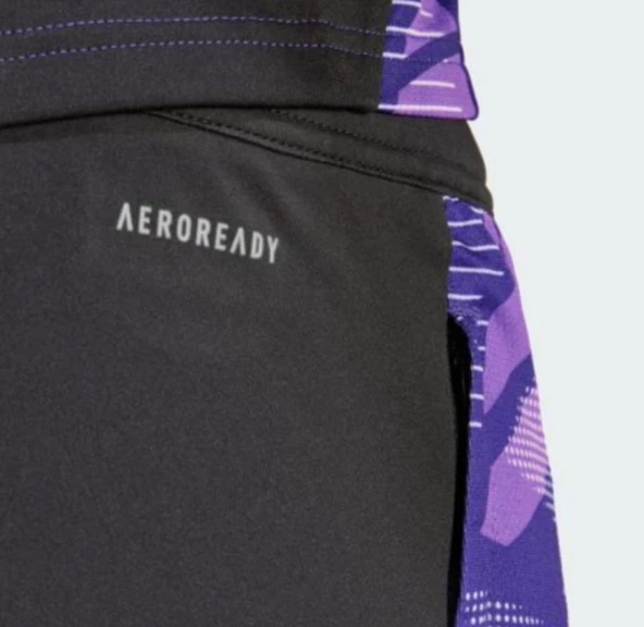 adidas Performance Almanya Tiro 24 Competition Erkek Antrenman Eşofman Altı IP8240 - Resim 5