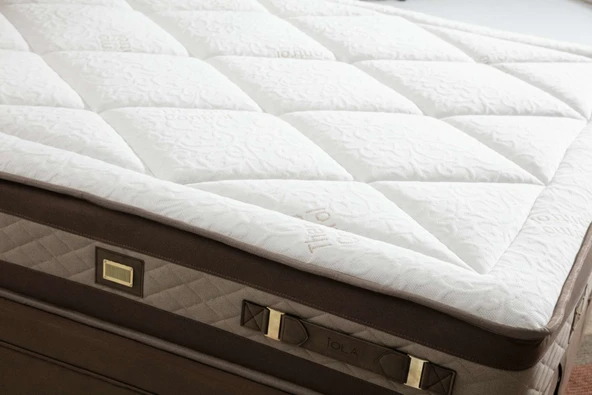 Minar Revive Baza Başlık  Yatak Seti - 120X200 - Resim 6