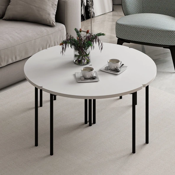 Minar Emma Zigonlu Orta Sehpa Takım-Beyaz Beyaz - Resim 2