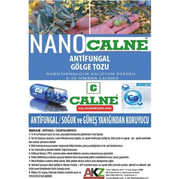 Nano Calne Antifungal Gölge Tozu 5Kg - 2