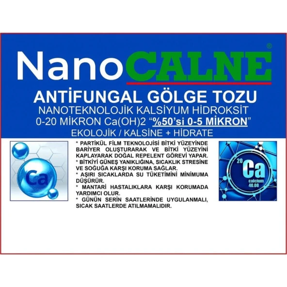 Nano Calne Antifungal Gölge Tozu 5Kg - 3