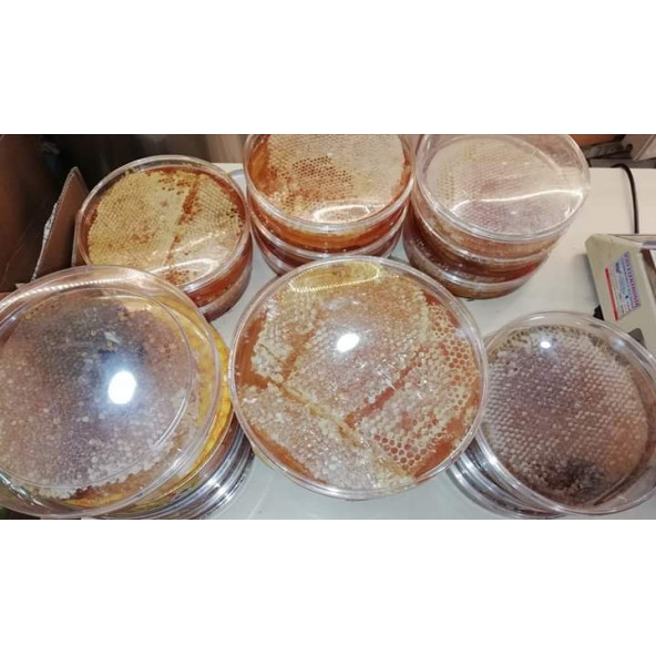 1300 GR KARAKOVAN BALI - 2