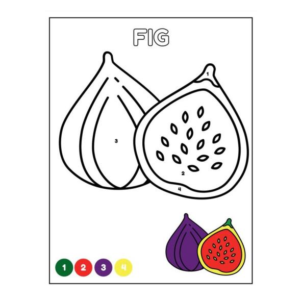 Çocuklar için Sayılarla Boyama Kitap Seti (2 Kitap) - 2