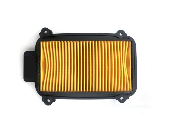 Hero 102 Pleasure - Duet Hava Filtre Elemanı - Resim 3