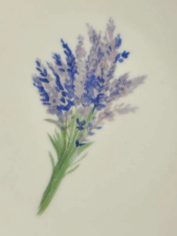 Sipahi Lavanta 2 li Porsenel Pasta Tabağı 19 Cm - Resim 2