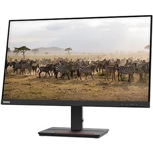Lenovo Thinkvision 62AFKAT2TK Fhd 4ms 60HZ Hdmi+Vga Siyah Monitor - 4
