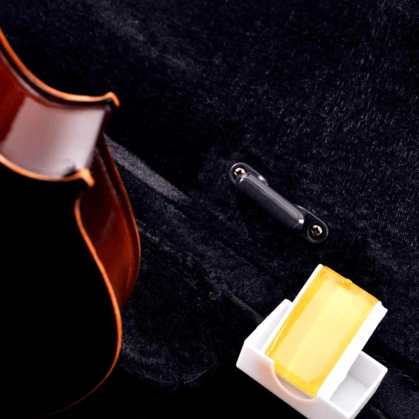 Keman Tam Takım 4/4 Manuel Raymond (mrv44dc) - Resim 3