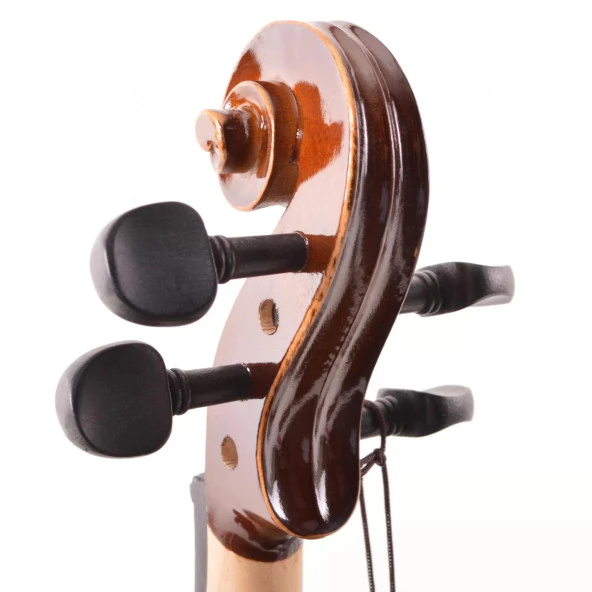 Keman Tam Takım 4/4 Manuel Raymond (mrv44dc) - Resim 5