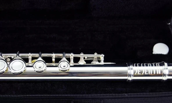 Yanflut Sesenta C Gümüş 16 Ssf4116sv - 2