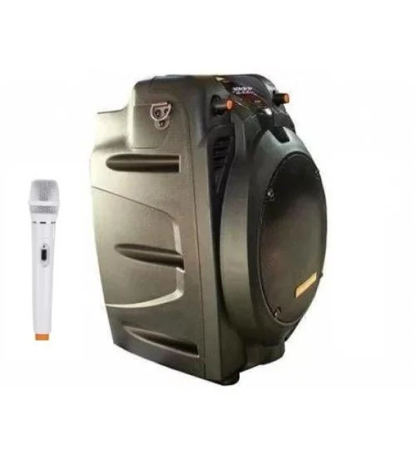 D-sound Pa-060  100w Şarjlı Hoparlör