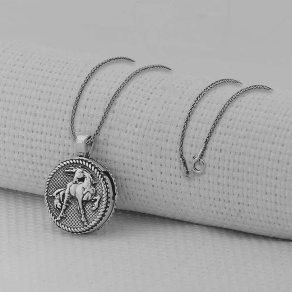 İçi Açılabilir Şans Nalı 925 Ayar Erkek Gümüş Kolye - Resim 3