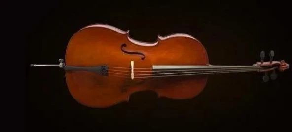 Valencıa Ce160g14 Cello +kılıf+yay, German Sys, Scale 1/4, Karartılm