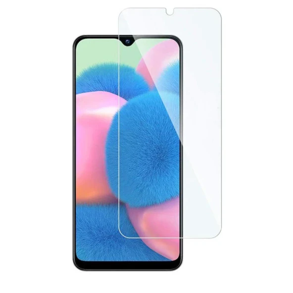 Samsung Galaxy A30S Ekran Koruyucu 9H